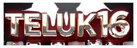 teluk16 logo